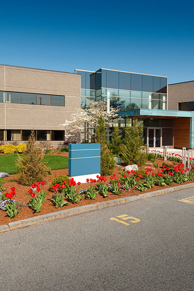 Landscaping Commercial Building 