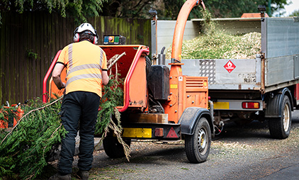 Tree Service Stump Removal in Texas Tree Service Stump Removal