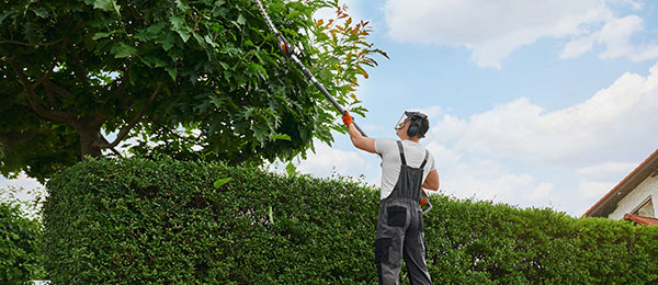 Reliable Tree Maintenance for Ongoing Health